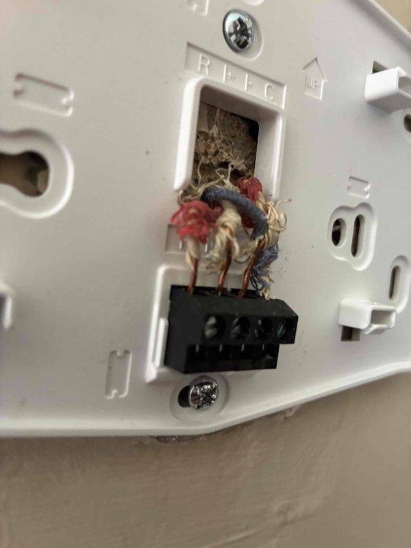 Performed diagnostic inspection on thermostat system after customer reported inaccurate temperature readings and app connectivity issues. Identified damaged wiring at the thermostat terminal with frayed insulation and exposed strands at R/C connections. Repaired wiring connections and verified proper circuit board terminal connections (W1/W2) to restore accurate temperature readings and system functionality.