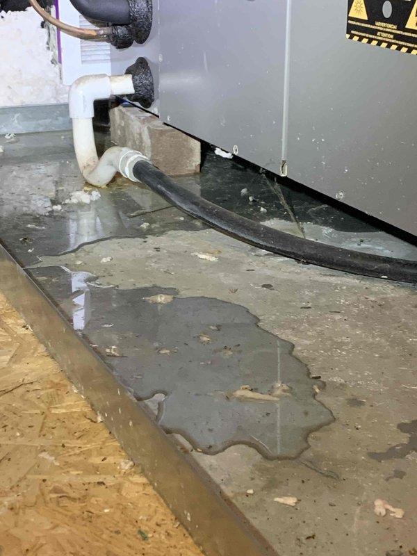 Performed scheduled tune-up on two U10 cooling systems located on side of home. Identified significant water pooling around one unit with possible leak from condensate drain line or connection point. Cleaned debris from system components and inspected all connections to prevent future water damage.