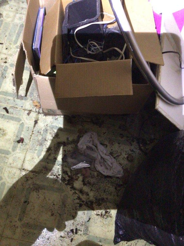 # Service Report: No Cool Complaint - 12-Year-Old Goodman System

Responded to customer complaint of air conditioning system blowing cool air but failing to adequately lower indoor temperature. Upon arrival, performed comprehensive diagnostic evaluation of 12-year-old Goodman split system to identify root cause of insufficient cooling capacity.

Conducted visual inspection of indoor air handler unit located in basement utility area. Assessed evaporator coil condition, blower motor operation, and airflow characteristics. Verified proper refrigerant line insulation and checked for signs of system degradation consistent with unit age.

Performed temperature differential measurements across evaporator coil to determine cooling efficiency. Evaluated air handler blower performance and verified adequate CFM delivery to conditioned spaces. Inspected condensate drain system for proper operation and potential blockages that could affect system performance.

Proceeded to outdoor condensing unit f