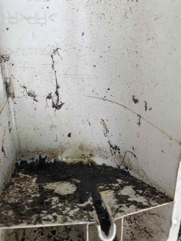 Responded to service call for one-year-old mini split system blowing warm air instead of cooling. Upon inspection, discovered severe contamination and corrosion within the indoor unit, including extensive dark staining, moisture damage, and deterioration of internal components. Found corroded copper piping connections and valve assembly with significant oxidation around fittings, likely related to previous lineset leak repair completed one month after initial installation. Documented conditions with photographic evidence showing compromised interior surfaces, accumulated debris, and hardware corrosion affecting system performance. Unit requires further evaluation to determine if contamination has damaged refrigerant circuit or if additional repairs beyond previous lineset work are necessary to restore proper cooling operation.