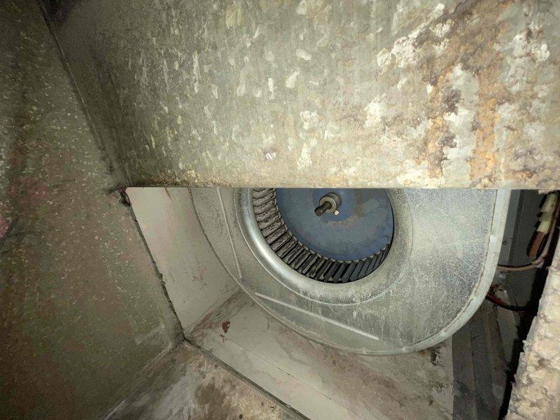 Responded to no cooling call for two 10+ year old HVAC units located at side of home and basement. Upon arrival, found outdoor condenser unit with access panel open and significant leaf debris accumulation around base and concrete pad, potentially restricting airflow and affecting system performance. Indoor blower assembly showed signs of age with deteriorated surrounding infrastructure and environmental wear in basement installation. Performed diagnostic evaluation on both systems to identify root cause of reported cooling and heating malfunction.