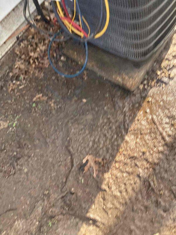 # HVAC Cooling System Tune-Up Completed

Performed comprehensive seasonal cooling tune-up on single Goodman brand condenser unit located in backyard. Unit positioned on concrete pad against exterior wall with standard electrical conduit and PVC condensate drain line installation.

## Work Performed

Conducted complete system inspection and preventive maintenance protocol. Evaluated condenser unit exterior condition, noting operational placement on concrete pad with adequate clearance. Inspected electrical connections including visible wiring runs - verified secure terminations and proper insulation integrity on all conductor pathways. 

Assessed refrigerant line connections and condensate drainage system functionality. PVC drain line routing confirmed appropriate for proper moisture evacuation. Examined fan motor assembly through top guard, verifying secure mounting and operational readiness.

Cleaned condenser coil surfaces and removed accumulated debris from unit perimeter and housin