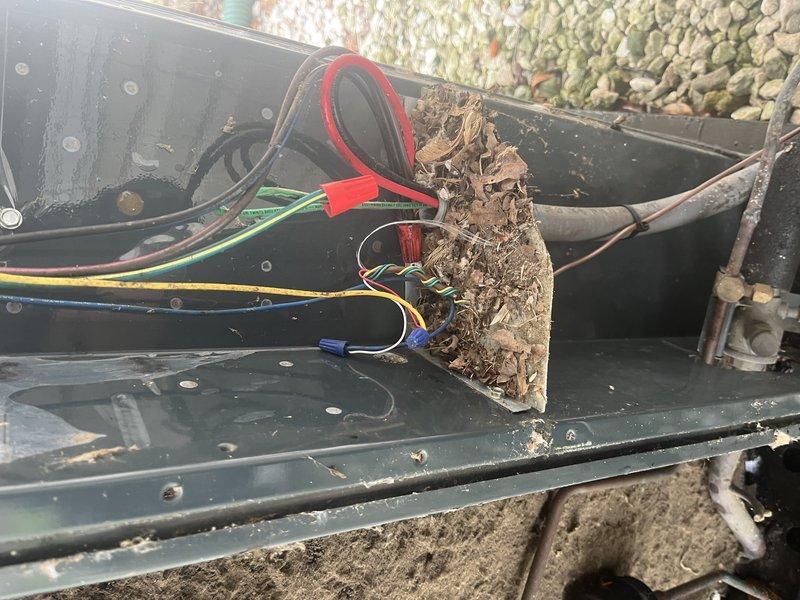 Responded to no-cooling call on 10+ year old outdoor unit. Upon arrival, found significant accumulation of leaves, twigs, and organic debris in electrical compartment surrounding wire connections. Removed all debris from electrical box and wire bundles, cleaned contaminated connections, and verified proper electrical continuity. Unit tested successfully after debris removal, with cooling system operating within normal parameters.