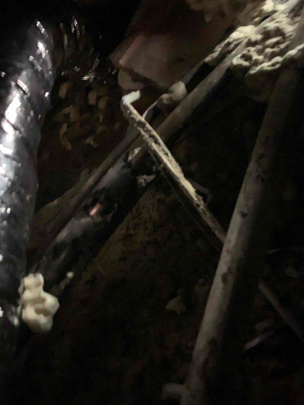 Responded to no-cooling call for two attic-mounted A/C units less than one year old. Upon arrival, performed diagnostic testing using clamp meter to measure electrical current and voltage at system components. Inspected both units in attic space, checking condensate drain lines, electrical connections, and refrigerant pressures. Units tested operational with amperage reading of 12.7 amps recorded during diagnostic process.