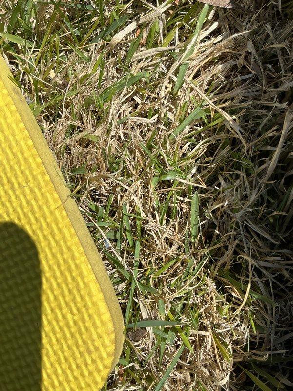 # HVAC Tune-Up Completed

Performed comprehensive preventive maintenance tune-up on single residential air conditioning unit located in backyard per Home Depot service order #F58041302. Conducted standard inspection of outdoor condenser unit, verified proper operation of all components, and documented equipment condition with photographic records. Unit found in satisfactory working condition with no immediate repairs required.