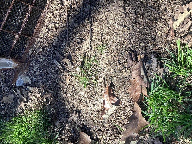 Completed no-cooling diagnostic service call on residential property with two HVAC units. Inspected 10-year-old outdoor condensing unit located at side of home near utility closet. Unit showed signs of weathering and debris accumulation but was operational at time of inspection. Documented equipment condition and installation environment, noting unit placement directly on ground without proper concrete pad. Verified system functionality and provided customer with maintenance recommendations for both units.