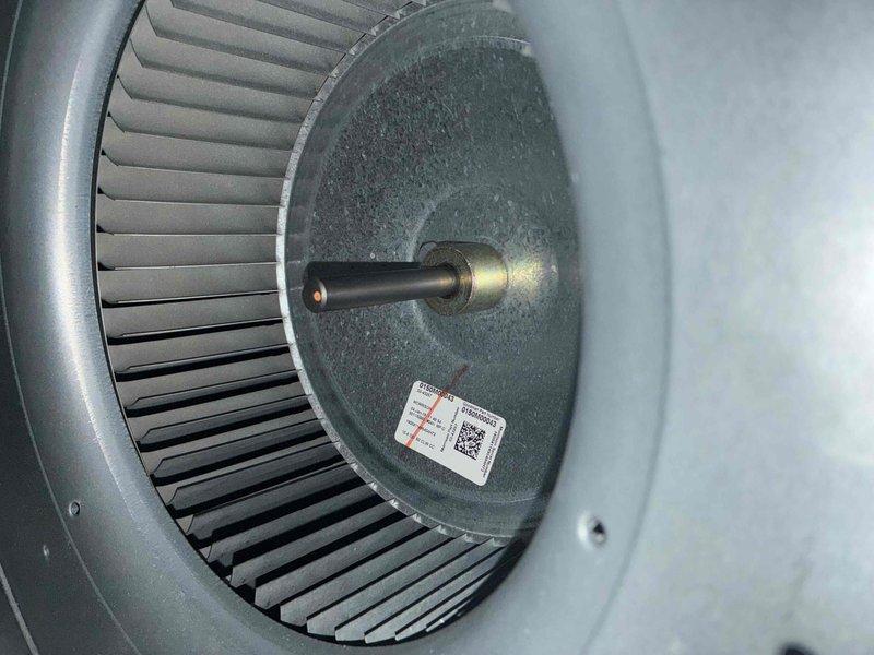 Performed comprehensive cooling maintenance on 6-year-old Goodman HVAC system. Inspected and documented blower wheel assembly and blower motor operation, confirming proper function of squirrel cage fan, motor shaft coupling, and electrical connections. All components found in good working condition with system operating as designed.