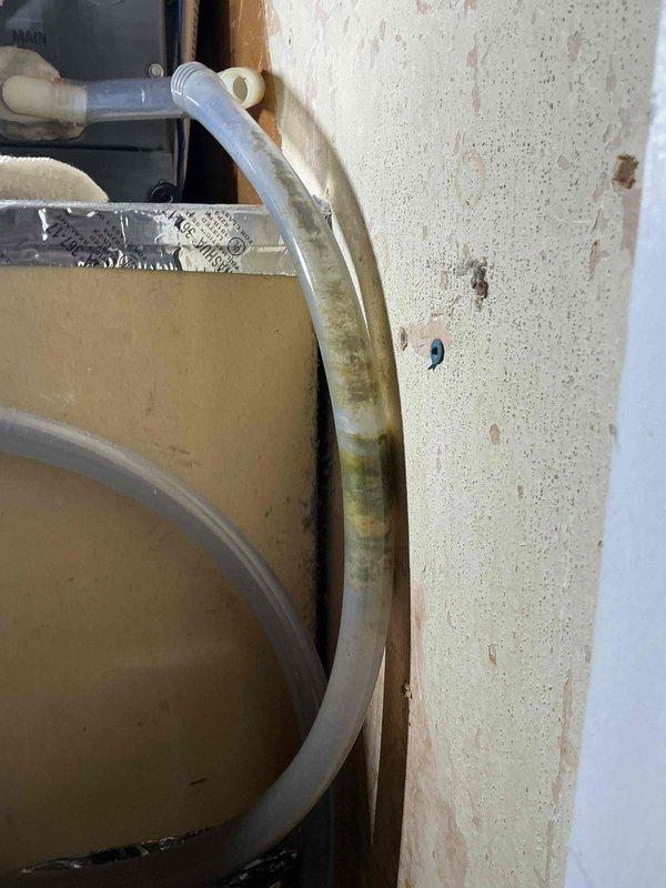 Responded to service call for frozen air conditioning system not cooling properly. Upon inspection, found significant algae growth and biological buildup in condensate drain line causing complete blockage. Cleared obstruction from drain system and flushed lines to restore proper drainage flow. Tested unit operation and verified condensate removal functioning correctly. System returned to normal cooling operation with no freeze-up conditions observed at completion.
