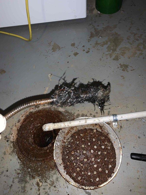Responded to main sewer line backup in basement. Upon arrival, located floor drain with visible sewage backup and sediment accumulation. Removed drain cover revealing significant debris buildup coating interior drain walls and dark brown sediment obstruction. Deployed mechanical drain auger with flexible cable through floor drain opening to clear main line blockage. Successfully broke through obstruction and restored proper drainage flow. Removed accumulated debris and sediment from drain system. Tested drain flow to confirm clearance of main sewer line. Left drain operational with proper flow restored.