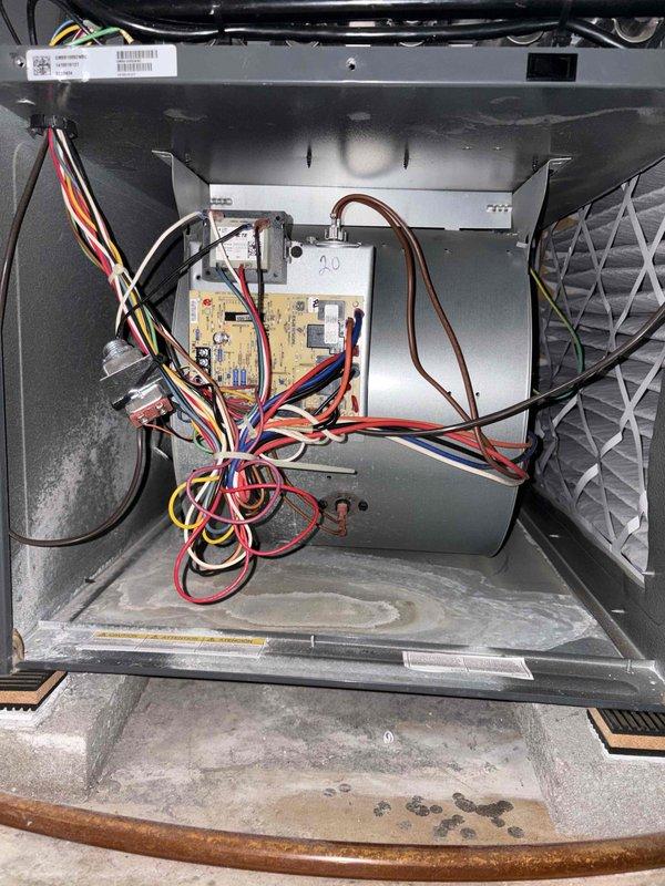 Completed cooling system tune-up on a residential outdoor unit over 10 years old located in backyard. Performed comprehensive maintenance inspection of all electrical components, circuit board, and wiring connections. Inspected and replaced dirty air filter to restore proper airflow and system efficiency.