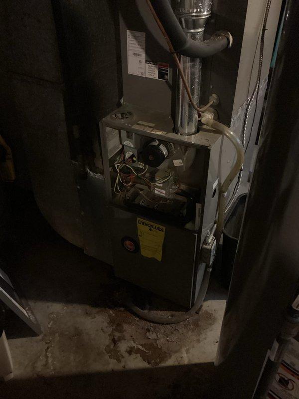 Completed preventive maintenance tune-up on a 4-year-old residential furnace unit located in basement. Performed comprehensive system inspection including blower motor operation, electrical connections, ductwork integrity, and ventilation components. All components found operating within normal parameters; system returned to full service with no issues identified.