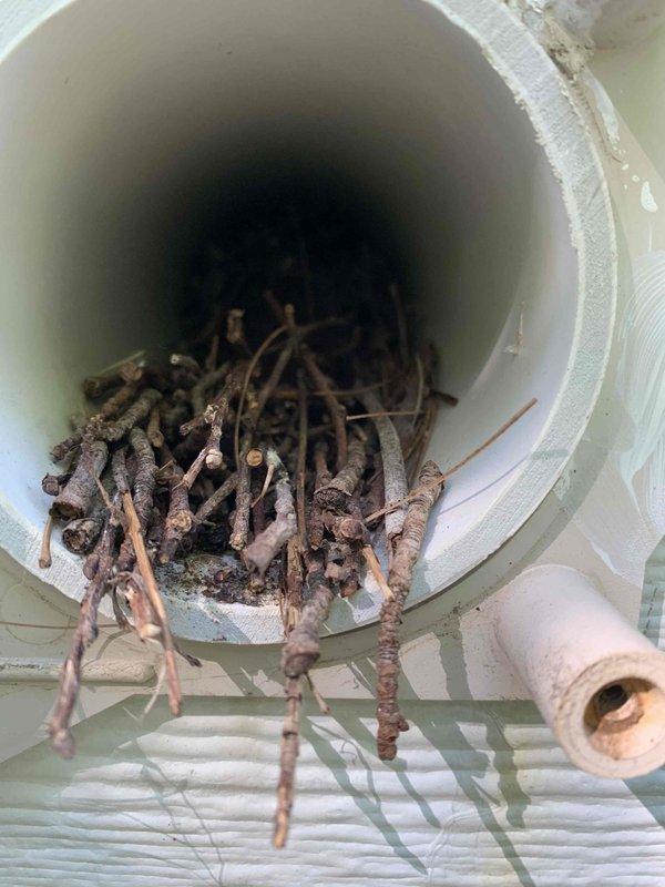 Responded to no-heat call for 10+ year old furnace located in basement. Upon arrival, discovered intake and exhaust vents obstructed by significant accumulation of dried vegetation, twigs, and organic debris. Cleared all blockages from both vent terminations at exterior wall, removing multiple buckets of material that had restricted airflow to the combustion system. Verified proper ventilation clearances restored, tested unit operation, and confirmed furnace returned to normal heating function.