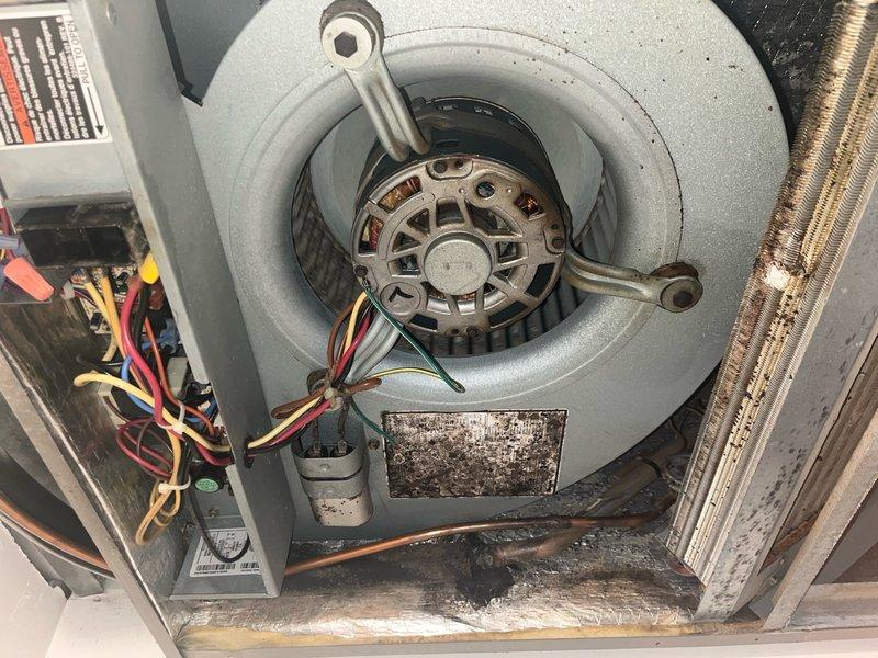Completed comprehensive air conditioning tune-up on a single ten-year-old residential unit. Performed standard preventive maintenance including inspection of blower assembly, motor components, and electrical connections; all wiring and motor windings found in acceptable condition. Exterior condenser unit and internal components showed normal operational wear with dust accumulation noted on blower housing and base pan, which is typical for a unit of this age.