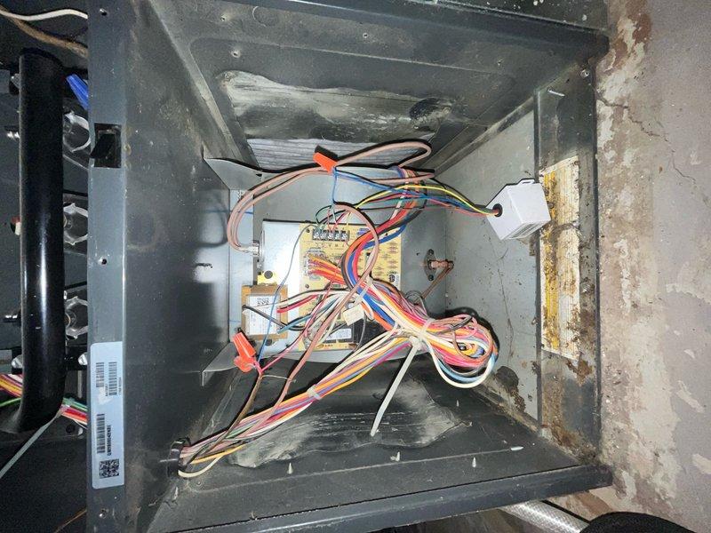 Completed comprehensive cooling maintenance tune-up on HVAC system. Performed thorough inspection of air handler unit including control panel, electrical connections, and blower motor assembly. Cleaned and serviced evaporator coil, verified proper operation of all electrical components and wiring connections, and inspected blower wheel and motor shaft assembly. System tested and confirmed operating within normal parameters with no issues found.