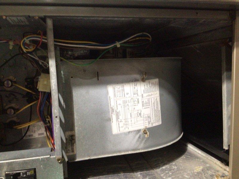 Completed cooling maintenance tune-up on HVAC system. Inspected blower motor assembly, electrical connections, and wiring components within unit compartment. Verified air filter condition and system operational status, confirming unit is functioning properly.