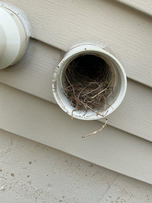 Responded to service call for furnace PVC exhaust pipe smoking. Upon inspection, discovered bird nest completely blocking furnace exhaust vent on exterior wall. Removed nesting material consisting of twigs, dried grass, and debris from PVC termination point. Cleared obstruction to restore proper exhaust ventilation and prevent potential carbon monoxide hazard. Verified furnace can now safely operate with unobstructed flue discharge.