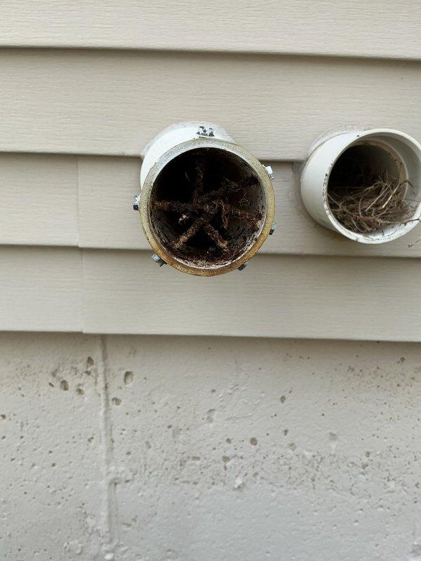 Responded to service call for furnace PVC exhaust pipe smoking. Upon inspection, discovered bird nest completely blocking furnace exhaust vent on exterior wall. Removed nesting material consisting of twigs, dried grass, and debris from PVC termination point. Cleared obstruction to restore proper exhaust ventilation and prevent potential carbon monoxide hazard. Verified furnace can now safely operate with unobstructed flue discharge.