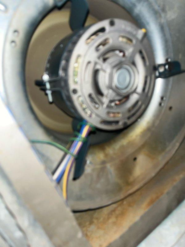 Completed cooling tune-up on 3-year-old outdoor AC unit, performing comprehensive system inspection and maintenance. Inspected blower motor assembly and housing, verified proper operation and electrical connections. Replaced air filter with new pleated media filter to ensure optimal airflow and system efficiency.