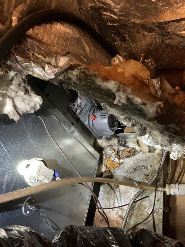 # HVAC Service - No Cool U10

Responded to no cooling complaint on one-month-old air conditioning system. Upon arrival, found system shut down due to drain pan full of water. Inspected condensate drain system in attic and identified clogged drain line preventing proper water evacuation. Cleared obstruction from condensate drain line and verified proper drainage flow. Tested system operation and confirmed unit cooling properly with condensate draining as designed. System returned to normal operation.