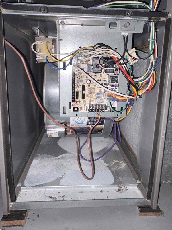 Completed comprehensive cooling system tune-up on 10-year-old outdoor AC unit located in backyard. Performed full system inspection including blower motor assembly, control board functionality, electrical connections, and wiring harness integrity. All components found operating within normal parameters with no deficiencies noted at time of service.