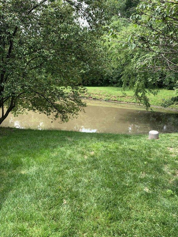 Conducted site evaluation for installation of RV pedestal electrical service at waterfront property. Assessed existing electrical infrastructure and determined optimal placement for outdoor pedestal unit to provide power connection for recreational vehicle. Evaluated routing requirements from existing electrical source to proposed pedestal location near water's edge, considering landscape features, underground utilities, and code compliance requirements. Documented site conditions through photographs showing terrain grade, proximity to water feature, and surrounding vegetation that may impact installation. Provided comprehensive estimate for materials and labor including appropriate outdoor-rated pedestal unit, conduit, wire sizing, grounding requirements, and necessary permits for exterior electrical installation.