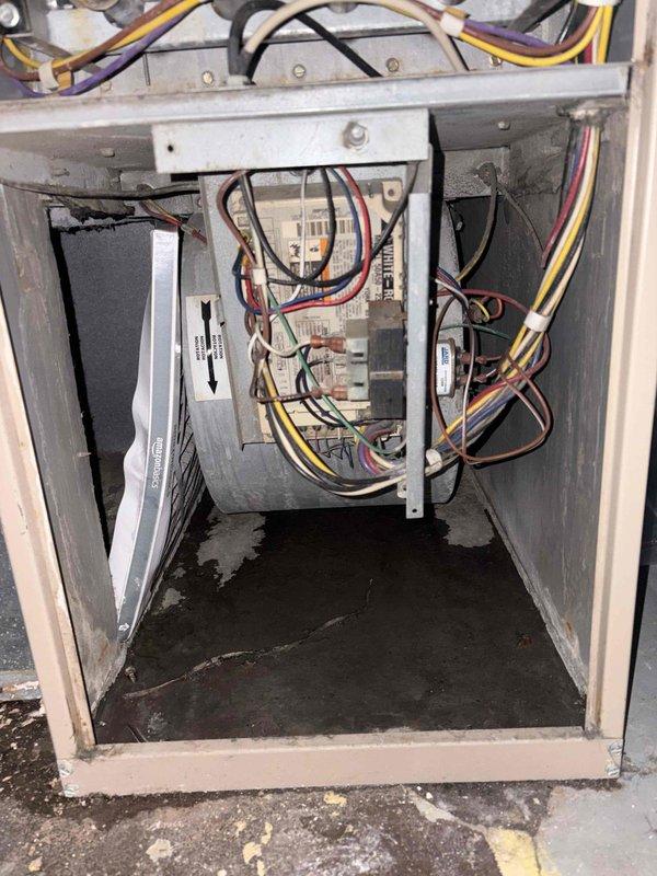 Completed comprehensive tune-up on single outdoor AC condenser unit. Inspected electrical control board, wiring connections, and internal components within air handler cabinet; all connections found secure with no immediate electrical concerns noted. Cleaned heavily soiled condenser coils which showed significant accumulation of dust and debris, restoring proper airflow and heat transfer efficiency for optimal system performance.