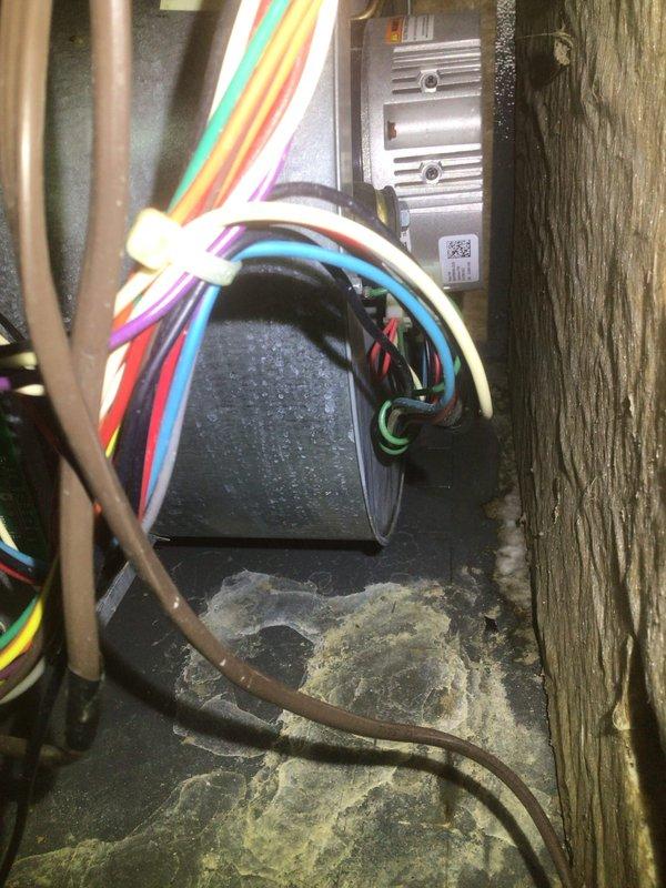 Responded to emergency call regarding water heater failure and potential furnace damage in basement. Upon arrival, found standing water on concrete floor from failed water heater. Performed thorough inspection of 10-year-old furnace system, including control board, wiring connections, and all electrical components. Examined control module with heat sink fins and verified all wire connections were secure and undamaged. Found no water intrusion to furnace components and confirmed system was not affected by water heater failure. Tested furnace operation and verified proper function of all safety controls and ignition sequence. Documented conditions with photos showing control board installation and basement water damage from separate water heater issue. Advised on water cleanup needs and confirmed furnace system remains operational and does not require replacement at this time.