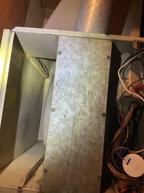 Completed comprehensive cooling system tune-up on outdoor condensing unit located on side of home. Performed standard maintenance protocol including inspection of evaporator coil assembly, air handler cabinet, and return air grille which showed moderate dust accumulation. All refrigerant lines, electrical connections, and system components were inspected and found to be operating within normal parameters.