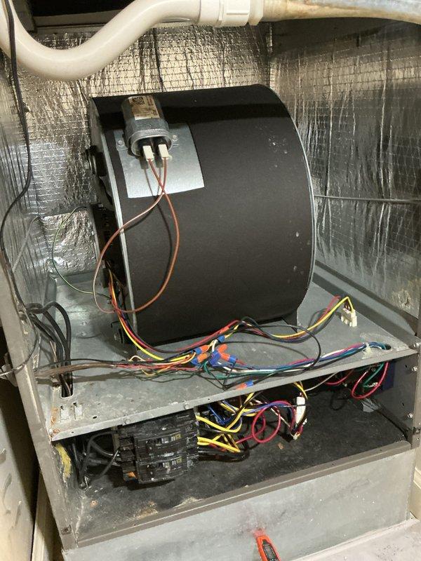 Completed routine cooling season tune-up on backyard air conditioning unit. Performed comprehensive system inspection including blower motor assembly, electrical connections, capacitor, and control wiring. Verified proper operation of all components, checked refrigerant levels, cleaned condensate drain line, inspected return air grille, and confirmed system is operating within manufacturer specifications for the cooling season.