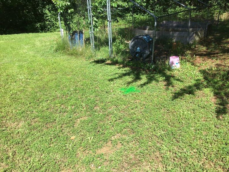 Performed sewer line camera inspection through cleanout access point to locate and map underground sewer line routing through property. Successfully ran camera equipment through the main sewer line, identified the pipe pathway beneath the backyard area, and marked the surface locations with visible indicators. Temporary fencing was installed around the work area to secure the site during the inspection process. All camera equipment was properly deployed and retrieved, with the sewer line path now clearly identified and marked for the property owner's reference.