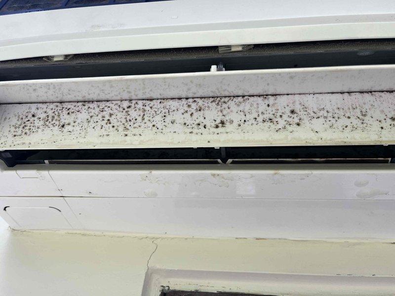 Performed maintenance service on wall-mounted mini-split system, including thorough cleaning of indoor head unit and replacement of contaminated filter screens. Upon inspection, existing filters showed significant mold growth and heavy soiling, which were removed and discarded. Installed new filter screens and verified proper system operation in both heating and cooling modes.