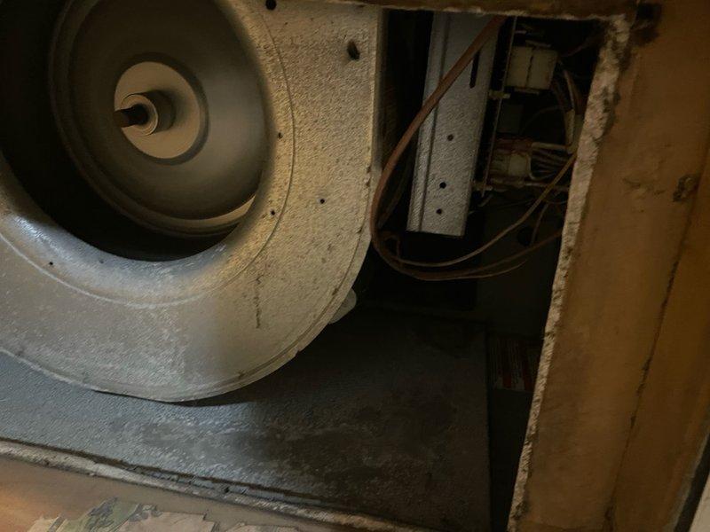 Completed cooling maintenance on single rooftop HVAC unit. Performed comprehensive tune-up including inspection of blower assembly, internal components, and electrical connections. Replaced dirty 14x25x1 air filter that showed significant dust accumulation, ensuring proper airflow and system efficiency.