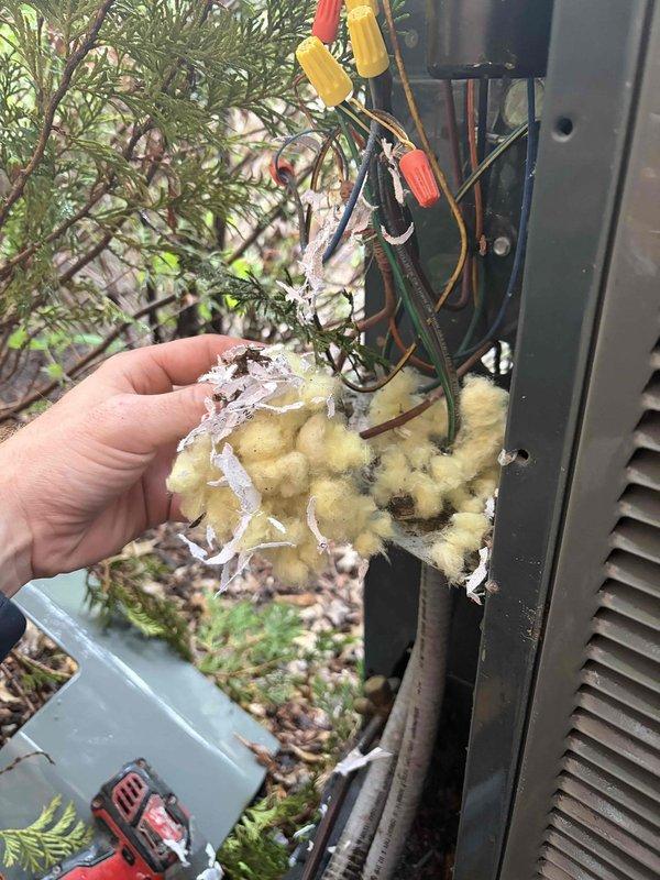 Responded to no-cooling call on 10+ year old outdoor unit where indoor fan was operating but compressor would not engage. Upon inspection, found severely deteriorated line set insulation with heavy frost accumulation indicating refrigerant flow issues and possible low charge condition. Examined electrical components and capacitor connections, noting dusty conditions consistent with unit age. Advised customer to keep system off to prevent compressor damage and provided diagnostic findings with repair recommendations for capacitor replacement and refrigerant system service.