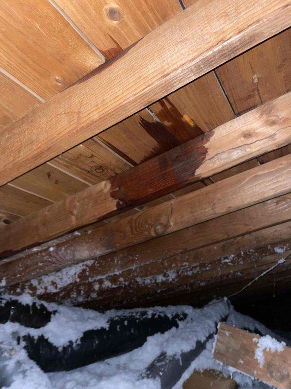 Responded to no cooling call with reported condensation water leaking from attic. Upon inspection, found HVAC unit located in attic with significant moisture accumulation and mold growth on wooden structural beams and framing members. Primary drain line was clogged, causing condensate overflow into attic space. Cleared blockage from condensate drain line, treated affected areas for mold remediation, and verified proper drainage function. Tested system operation and confirmed unit cooling properly with condensate draining correctly through primary drain line. Advised proper maintenance schedule to prevent future drain line blockages.