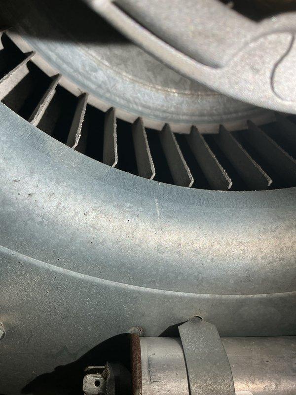 Performed comprehensive cooling system tune-up on a single unit located in side yard. Upon inspection, discovered significant debris accumulation on evaporator coil and blower wheel assembly, restricting airflow and reducing system efficiency. Cleaned blower wheel to remove dust buildup and thoroughly cleaned evaporator coil to eliminate dense fiber and lint accumulation that had collected on coil surfaces. Documented pre-service conditions with photographs showing extent of contamination on both components. Restored proper airflow through system, improving cooling performance and operational efficiency.