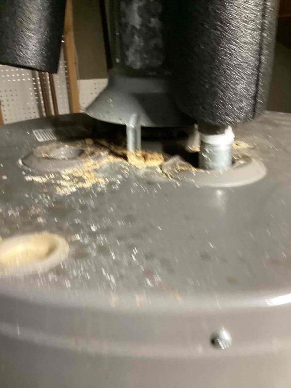 Performed inspection of 6-year-old ground-level air conditioning unit in response to customer concerns regarding potential mold contamination on coils and vents. Upon inspection, discovered significant biological growth and debris accumulation in the condensate drain pan, including yellowish-brown organic material and algae buildup concentrated around the drain connection point. Documented conditions with photographs showing contaminated drain pan with fibrous growth on surfaces and around PVC drain fitting. Inspected refrigerant lines, insulation, and air handler interior components for additional mold or moisture concerns.