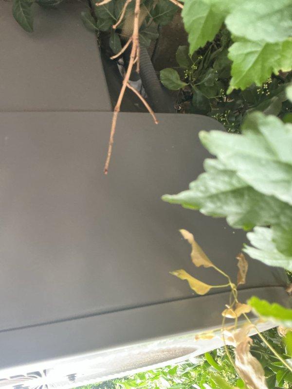 Responded to no cooling complaint on 10+ year old outdoor AC unit that had been shut off. Performed diagnostic inspection of system including furnace and condensing unit in backyard location. Completed thorough assessment of HVAC equipment, identified issue preventing proper cooling operation, and presented repair options to restore system functionality.