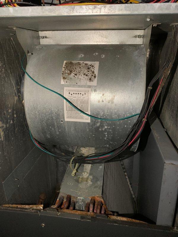 Completed preventive maintenance tune-up on a 10+ year old cooling system located in side yard with air handler in attic. Performed comprehensive inspection of both outdoor condensing unit and indoor air handling components, including electrical connections, refrigerant levels, and airflow verification. Replaced air filter and documented existing equipment condition, noting age-related surface corrosion on outdoor unit components and general wear consistent with system age.