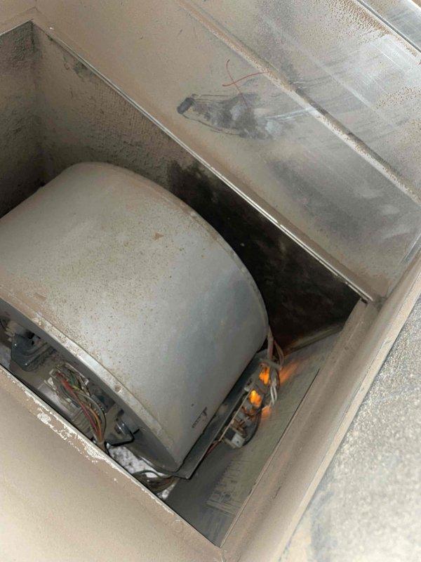 Completed comprehensive tune-up service on a 10-year-old residential air conditioning system located in backyard under Home Depot promotional program (work order F58126438). Performed standard maintenance procedures including inspection of blower motor assembly, electrical connections, and condenser unit; verified proper operation of all components; and documented equipment condition with service photographs showing accumulation of dust and normal wear consistent with unit age.