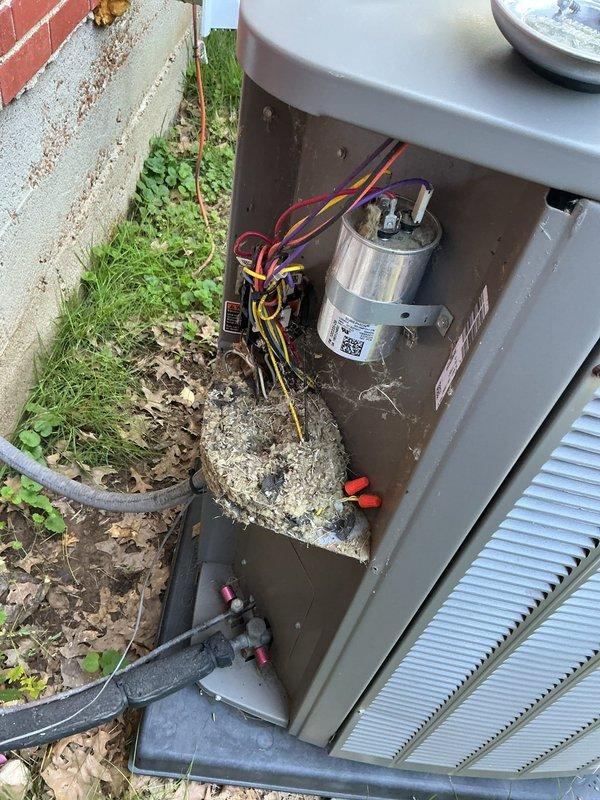 Responded to no cooling complaint on outdoor condensing unit located at side of home. Upon arrival, removed access panel and inspected electrical components. Found failed dual run capacitor preventing compressor and condenser fan motor operation. Replaced defective capacitor with new unit per manufacturer specifications, verified all electrical connections secure, and tested system operation. Unit now cooling properly with normal amp draw and temperatures.