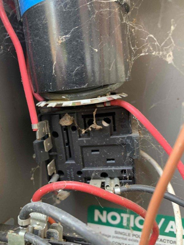 Responded to no cooling complaint on 12-year-old Rheem system where compressor was short-cycling immediately after startup. Upon inspection, found outdoor unit electrical compartment heavily contaminated with spider webs, debris, and insect nests affecting contactor operation. Cleaned all electrical components, removed contamination from contactor assembly and surrounding areas, verified proper electrical connections, and tested system operation. Unit now running normally with compressor maintaining steady operation and proper cooling cycle restored.