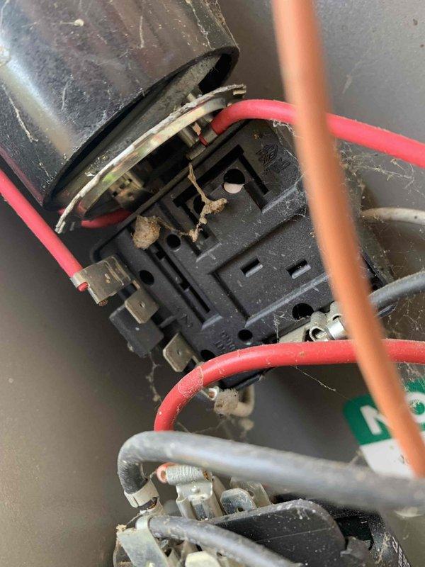 Responded to no cooling complaint on 12-year-old Rheem system where compressor was short-cycling immediately after startup. Upon inspection, found outdoor unit electrical compartment heavily contaminated with spider webs, debris, and insect nests affecting contactor operation. Cleaned all electrical components, removed contamination from contactor assembly and surrounding areas, verified proper electrical connections, and tested system operation. Unit now running normally with compressor maintaining steady operation and proper cooling cycle restored.