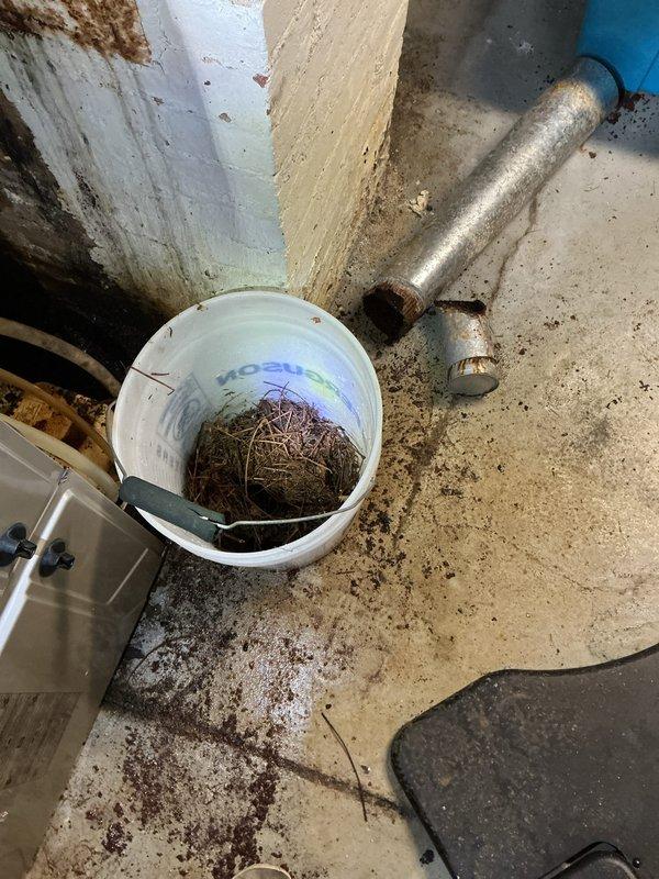 Installed a 40-gallon gas tall water heater from existing inventory in accordance with City of Kirkwood permit #PLUM-26-0443. Removed old unit, connected gas supply line and water piping, installed new brass fittings, and verified proper venting through existing ductwork. System tested and operational upon completion.