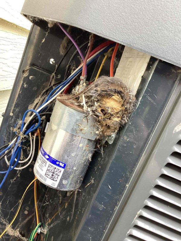 Responded to no cooling complaint with indoor temperature at 89 degrees. Upon inspection of Unit 10 located in side yard, found failed dual run capacitor with severe corrosion and heavy debris accumulation around terminals and connection points. Capacitor showed visible rust, material degradation, and oxidation indicating moisture exposure and age-related failure. Replaced defective capacitor with new unit per manufacturer specifications. Cleaned terminal connections and secured all wire connections. Tested system operation, verified proper amperage draws on compressor and condenser fan motor. Unit now cooling properly with normal operating pressures and temperatures restored.
