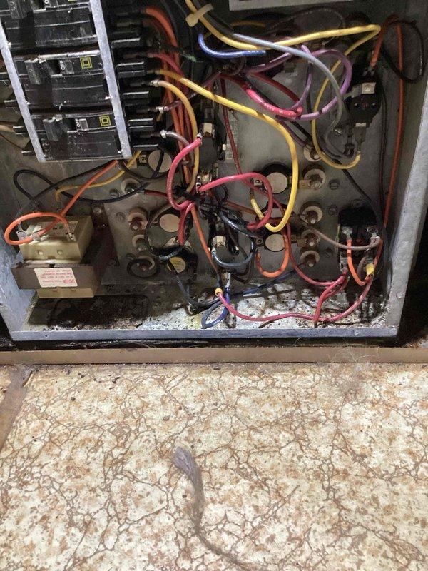 Responded to no cooling call on 10+ year old residential air conditioning system. Upon arrival, found thermostat displaying 86°F but unit not responding to cooling demand. Performed diagnostic evaluation of outdoor condensing unit and discovered significant corrosion and debris accumulation in electrical control panel affecting system operation. Inspected all electrical connections, contactor, and control wiring. Identified failed components preventing compressor and condenser fan from engaging. Cleaned electrical panel, replaced defective contactor and capacitor, verified proper voltage at all connection points, and restored system to full operational status. Unit cycling properly with normal amperage draw. Advised customer of system age and condition for future maintenance planning.