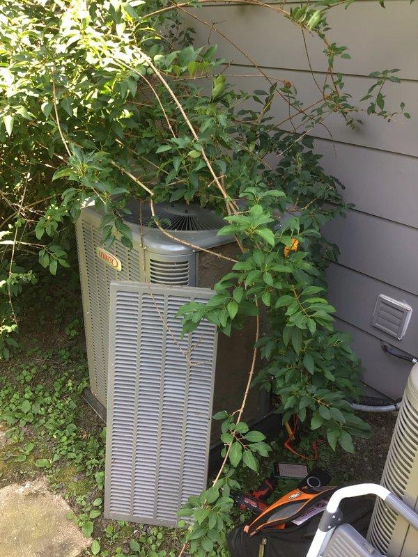 Responded to no-cooling complaint on residential air conditioning system less than 10 years old located in backyard. Upon arrival, found outdoor condenser unit significantly obstructed by overgrown vegetation including vines, branches, and dense foliage covering top and sides of equipment, restricting proper airflow to coil and fan assembly. Advised customer to turn unit off and operate in fan-only mode to prevent compressor damage. Cleared vegetation from around condenser to restore adequate clearance for airflow and heat rejection. Inspected unit for additional issues related to warm air discharge complaint. Documented equipment condition with photographs showing vegetation obstruction and weathered exterior panels. Recommended ongoing vegetation management to maintain minimum clearance requirements for optimal system performance and efficiency.