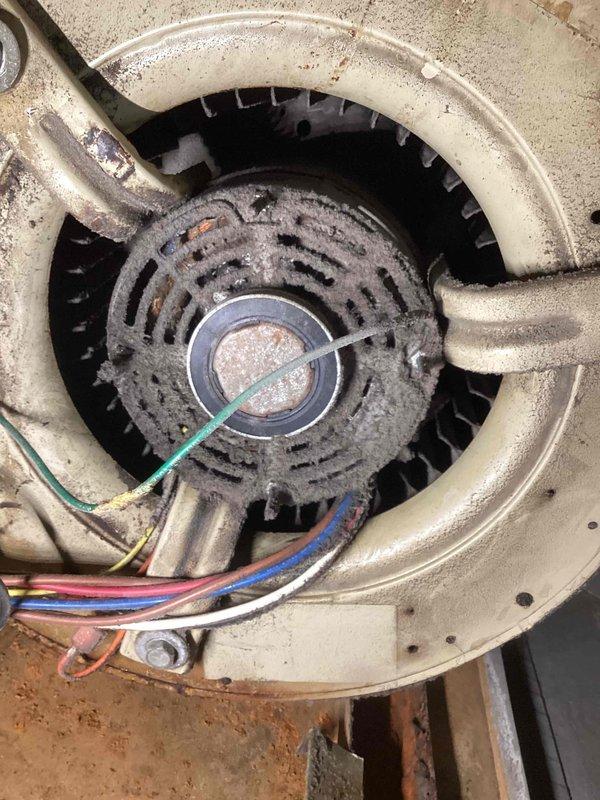 Responded to no cooling complaint on unit 10 located in backyard. Upon inspection, found evaporator coil heavily contaminated with dirt and debris accumulation, significantly restricting airflow. Blower motor assembly exhibited substantial dust buildup on blower wheel and housing. Observed corrosion and dark deposits on copper coil surfaces affecting heat transfer efficiency. System was shut down prior to arrival due to lack of cooling performance caused by restricted airflow through dirty evaporator coil and compromised blower assembly operation.