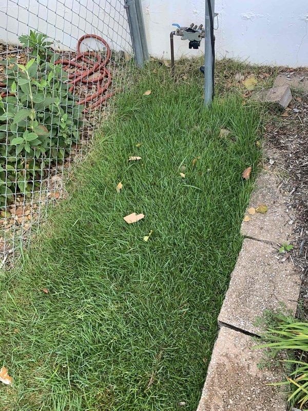 Conducted comprehensive site assessment for whole home generator installation. Evaluated existing electrical infrastructure and identified optimal placement location along exterior wall with adequate clearance from utilities and structures. Documented current electrical service configuration and available space for generator pad installation. Assessed fuel source options and utility connections including gas line accessibility. Photographed installation site showing proposed generator location near chain-link fence boundary with clear access pathway. Evaluated ground conditions and verified sufficient clearance from satellite equipment and other exterior fixtures. Documented site measurements and clearance requirements for code compliance. Provided detailed estimate for complete generator system installation including transfer switch, electrical connections, and necessary permits.