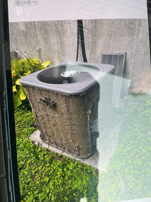 Responded to service call for 15-year-old air conditioning system experiencing intermittent clicking noise from outdoor condenser unit. Upon arrival, performed comprehensive inspection of exterior unit and found system still operational and providing adequate cooling despite audible concern. Conducted thorough cleaning of condenser coils which showed significant accumulation of debris, organic matter, and weathering consistent with unit age and outdoor exposure. Removed leaves and debris from base of unit and surrounding area. Inspected electrical disconnect box, wiring connections, and conduit for any loose components that could contribute to clicking sounds. Documented unit condition with photographs showing exterior weathering, organic growth on casing, and general maintenance needs. System tested and confirmed operational following service completion.