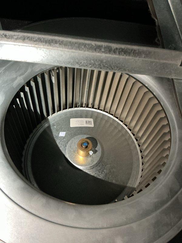 Completed comprehensive cooling tune-up on 4-year-old outdoor AC unit. Performed standard maintenance protocol including inspection of condenser unit, blower wheel assembly, and all major components. Blower wheel showed moderate dust accumulation which was addressed during service, and UV light inspection was conducted as requested.
